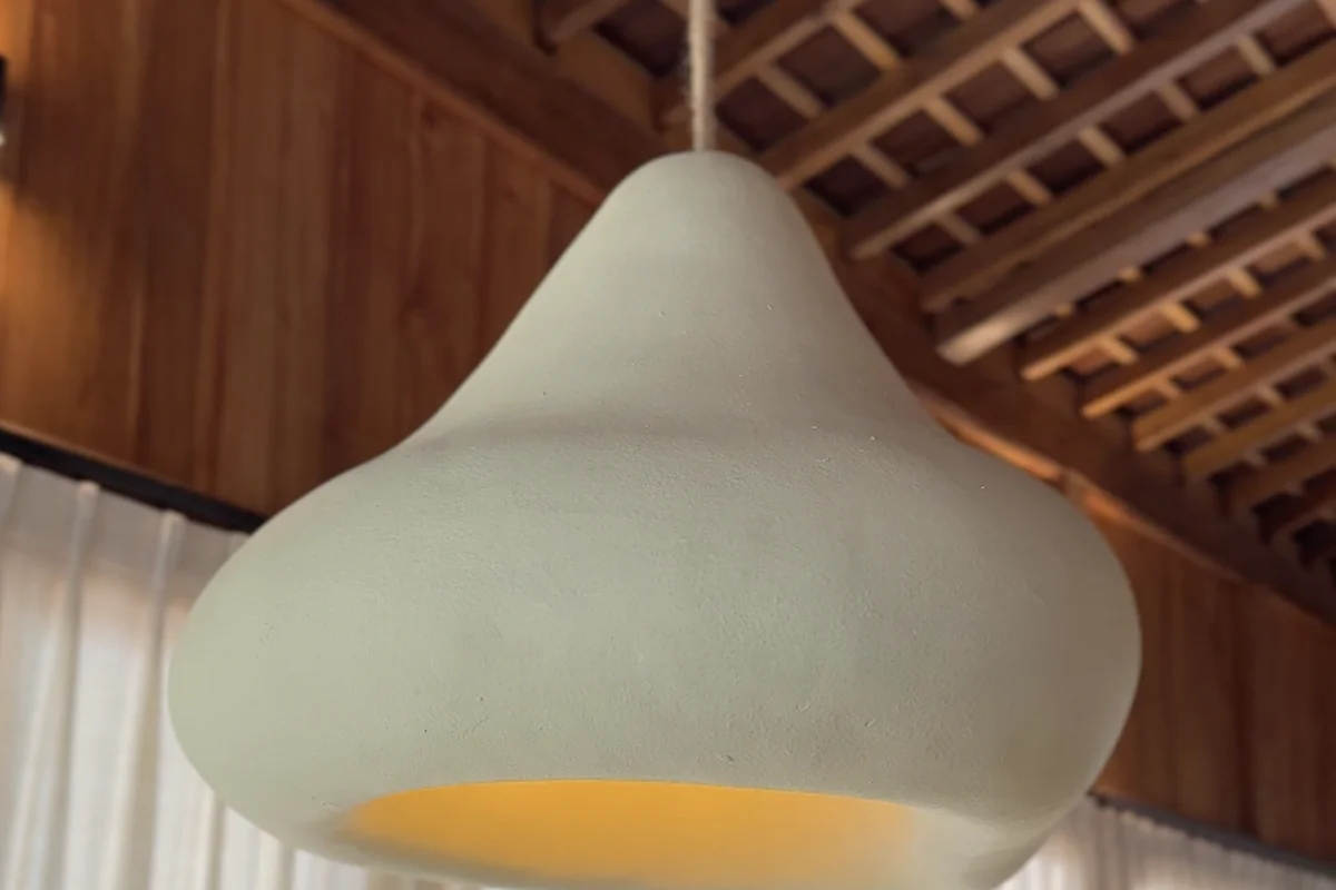 Organic Pendant Light — as built