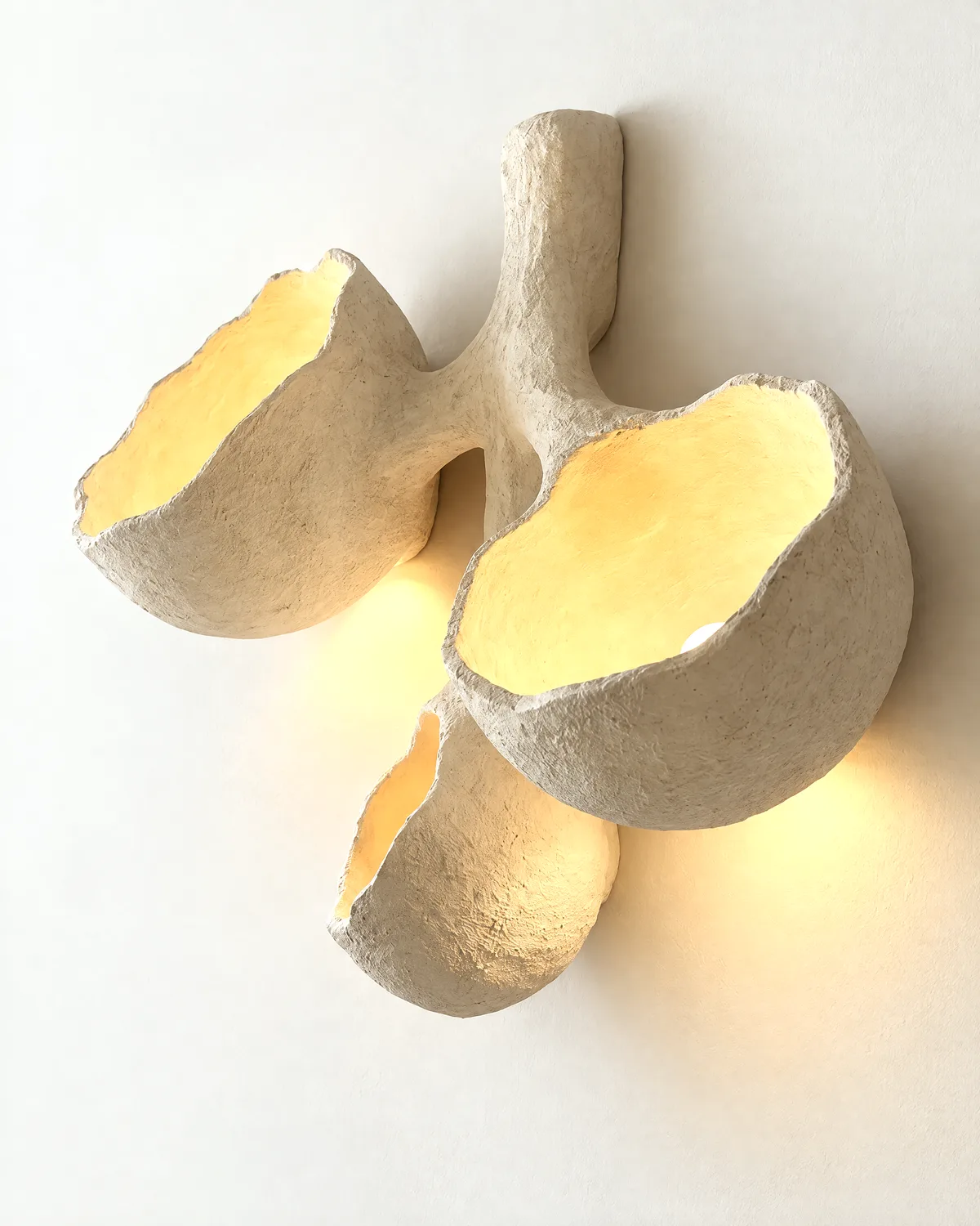 Luz sculpted wall light