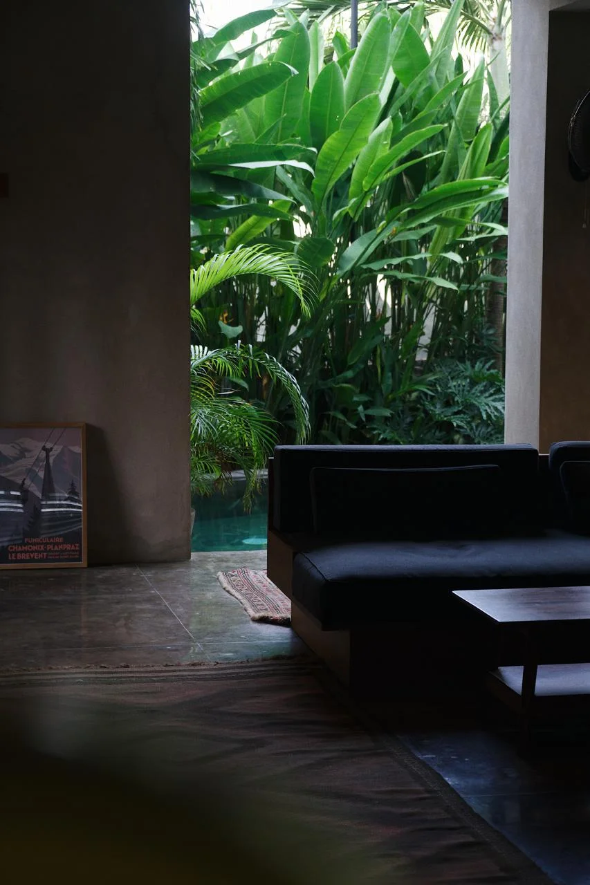 Surf-skate-street inspired interior with tropical vegetation and water features, Canggu hotel